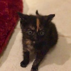 Meet your Posher, Kasey